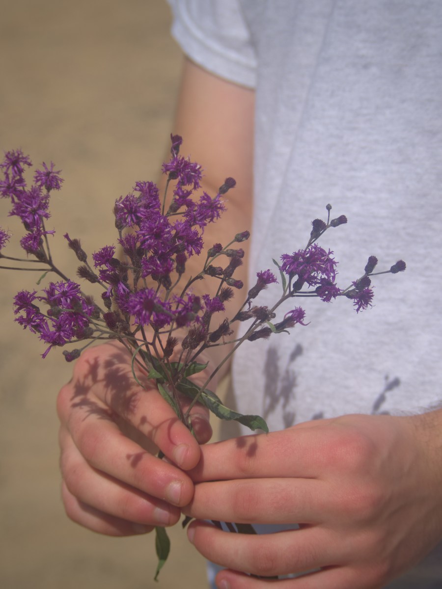 The Secret of The Sand&nbsp;Grain