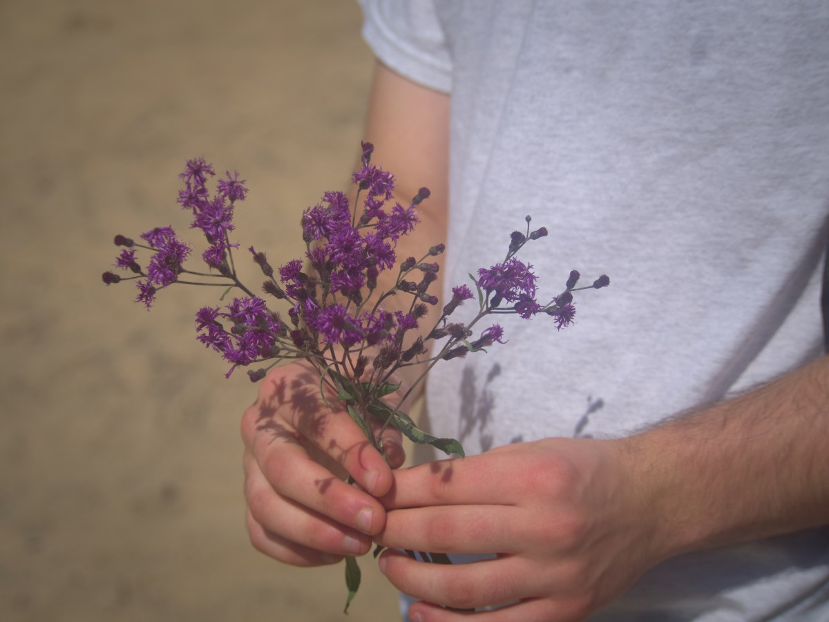 The Secret of The Sand&nbsp;Grain
