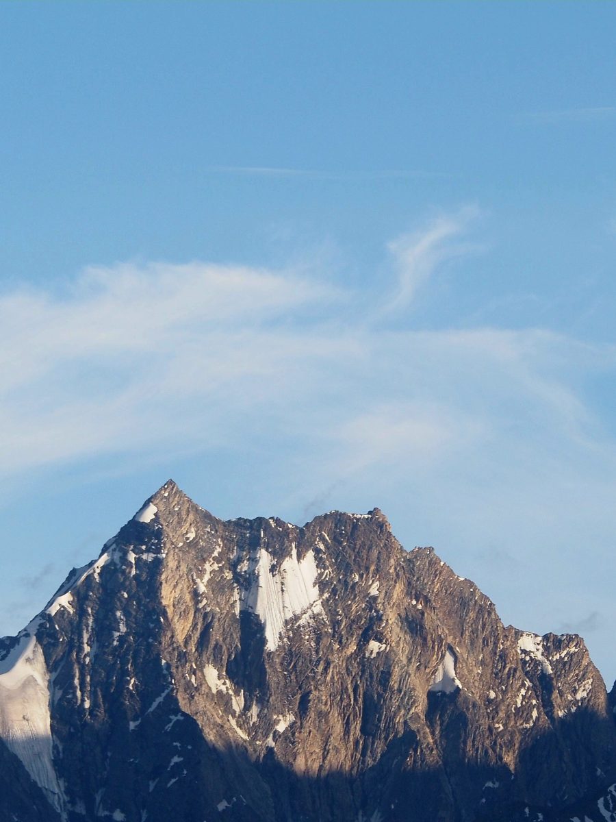 An Ant-Sized Bit of&nbsp;Compassion