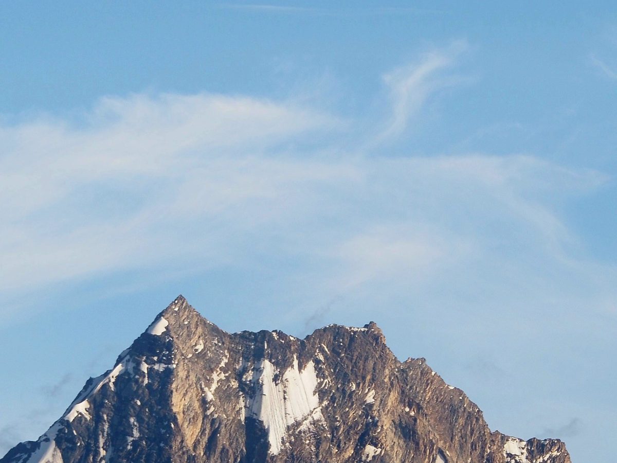 An Ant-Sized Bit of&nbsp;Compassion